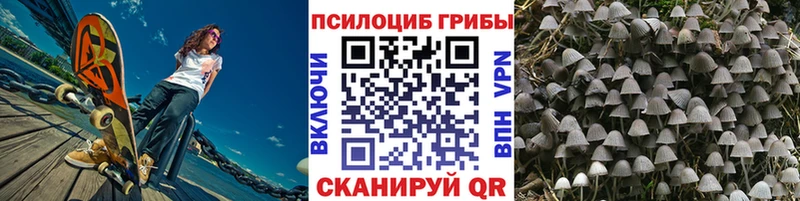 Псилоцибиновые грибы Psilocybine cubensis  Иланский 