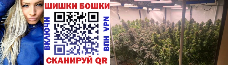Каннабис AK-47  где продают   Иланский 